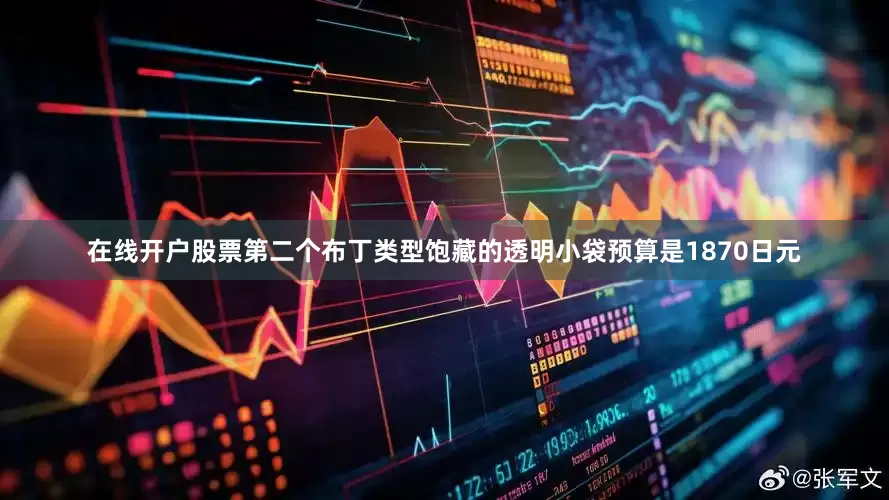 在线开户股票第二个布丁类型饱藏的透明小袋预算是1870日元